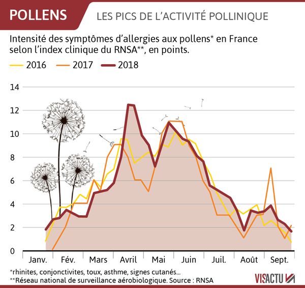 La dissolution du Réseau national de surveillance aérobiologique entraîne des inquiétudes sur le suivi des allergies polliniques